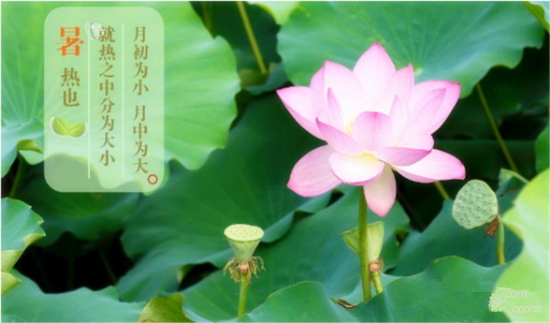 暑臻三伏醉難熬，拭汗揮巾似雨飄——鐵絲成型機(jī)