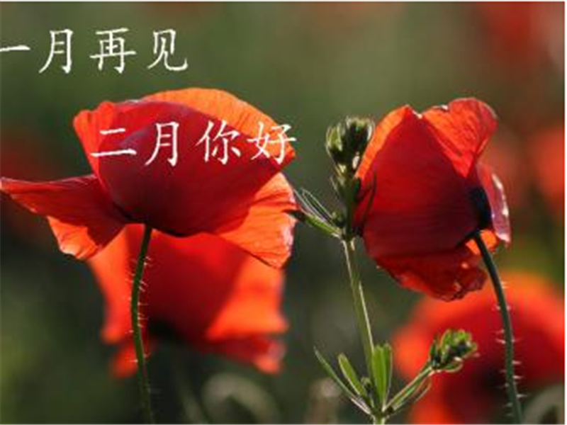 一月再見，美好的二月你好啊