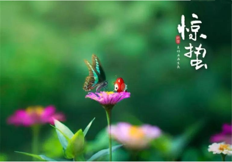 二十四節(jié)氣“驚蜇”都有哪些習(xí)俗？